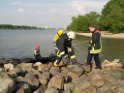 Kleine Yacht abgebrannt Koeln Hoehe Zoobruecke Rheinpark P075
